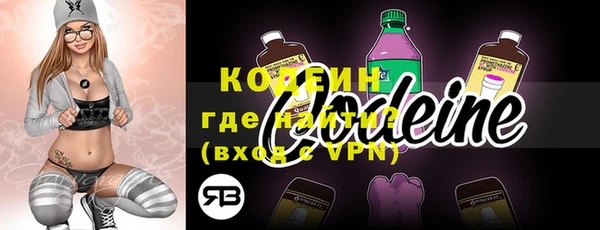 гашик Кадников