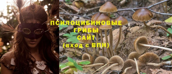 соль ск Липки