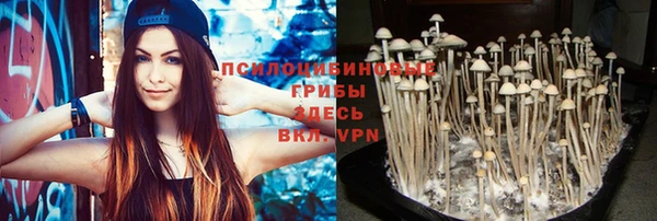 винт Лихославль