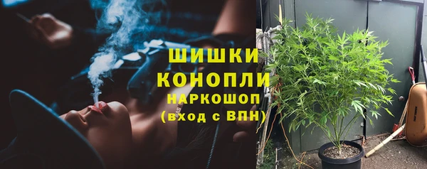 соль ск Липки